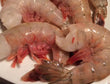 U-8 Wild Jumbo Stuffing Shrimp