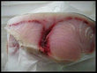 Grade A Fresh North Atlantic Swordfish Steaks
